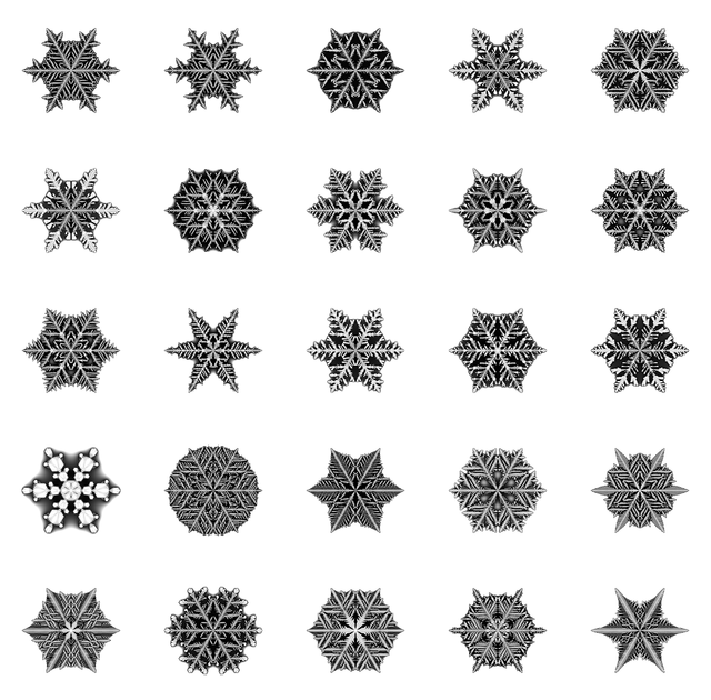 snow flakes
